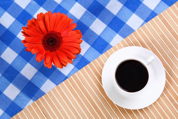 Continental breakfast — Stock Photo, Image