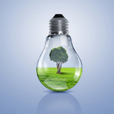 Elektrik ampulü ve bitki içine