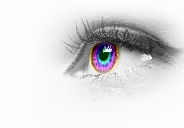 Human eye on grey background