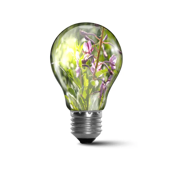 Ecology bulb light — Stock Photo, Image