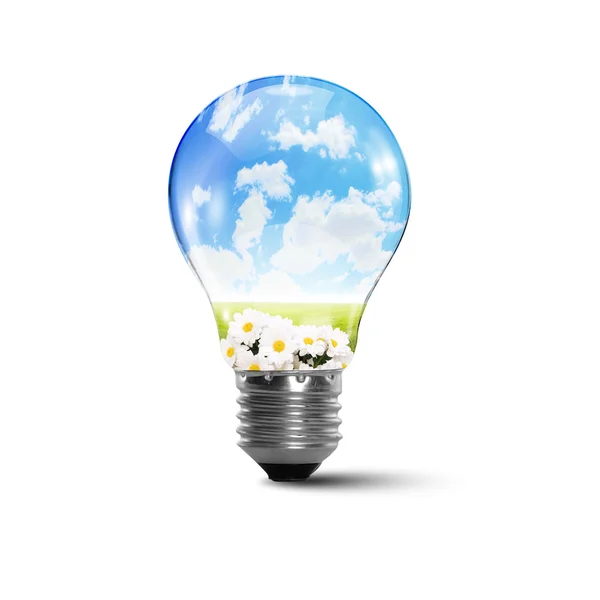 Ecology bulb light — Stock Photo, Image