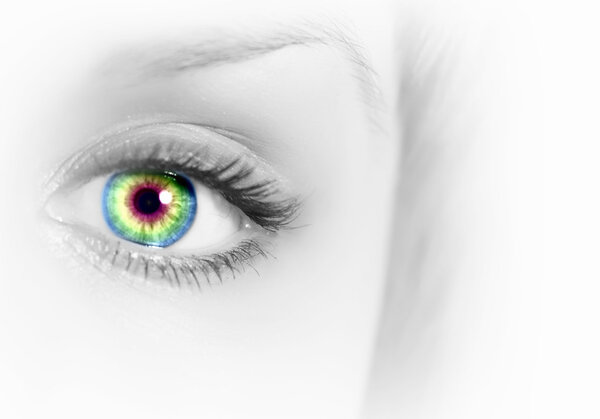 Human eye on grey background