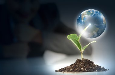 Dünya üzerindeki yeşil bitki