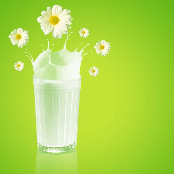 Fresh milk in the glass — Stock Photo, Image