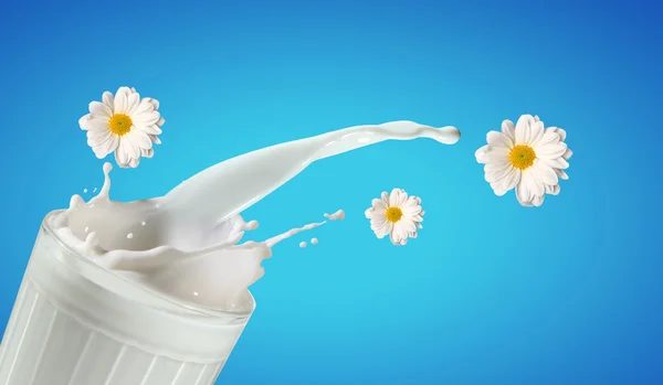 Fresh milk in the glass — Stock Photo, Image