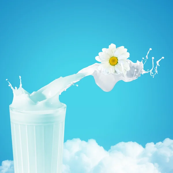 Fresh milk in the glass — Stock Photo, Image