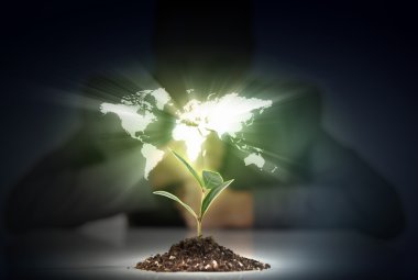 Dünya üzerindeki yeşil bitki