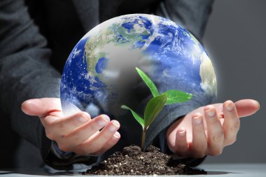 Dünya üzerindeki yeşil bitki