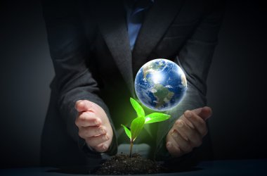 Dünya üzerindeki yeşil bitki