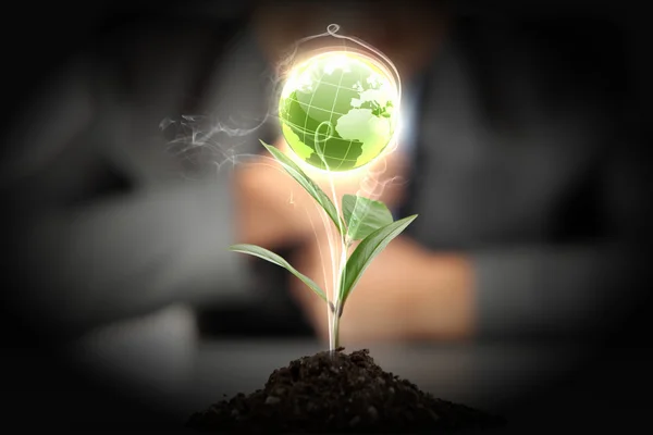 Green plant on earth — Stock Photo, Image