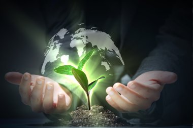 Dünya üzerindeki yeşil bitki