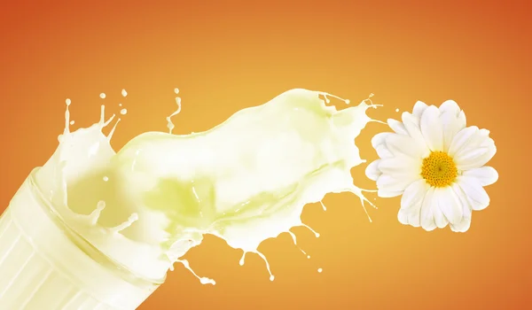 Latte fresco nel bicchiere — Foto Stock