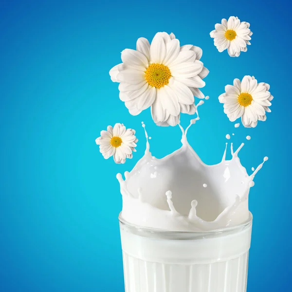 Verse melk in het glas — Stockfoto