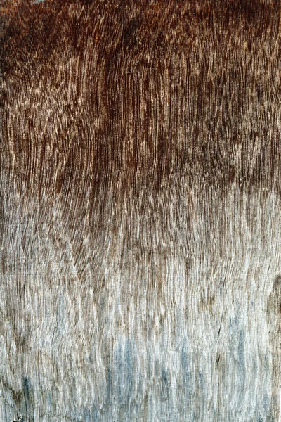 Textura staré dřevěné stěny — Stock fotografie