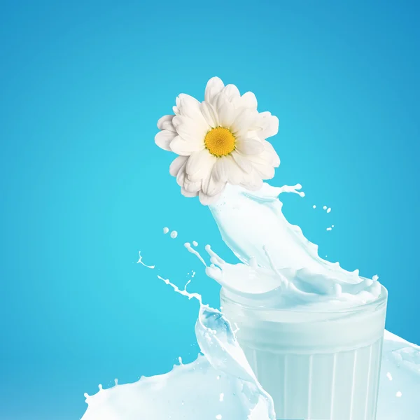 Fresh milk in the glass — Stock Photo, Image