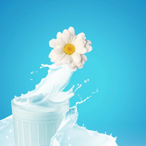Fresh milk in the glass — Stock Photo, Image