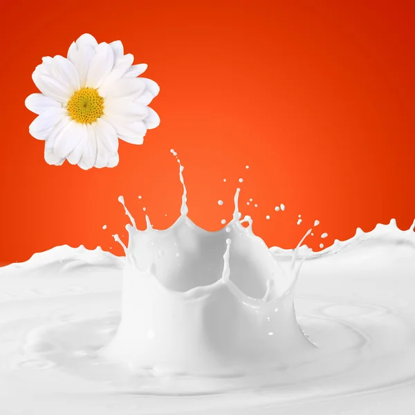 Image of milk splashes — Stock Photo, Image