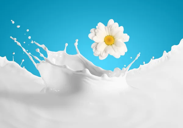 Immagine di schizzi di latte — Foto Stock