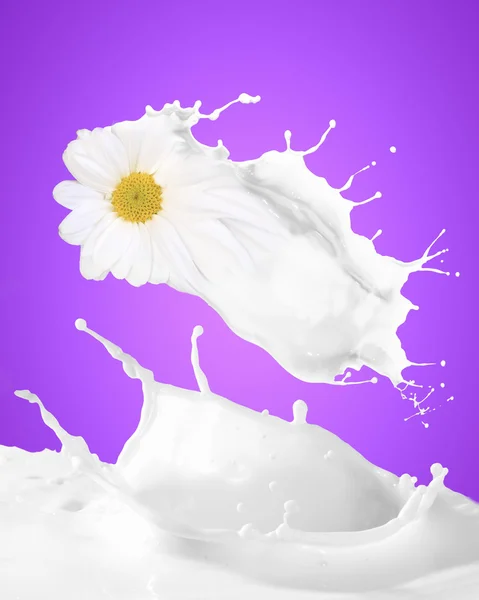 Image of milk splashes — Stock Photo, Image