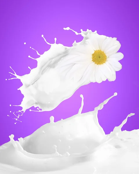 牛奶溅的形象 — 图库照片