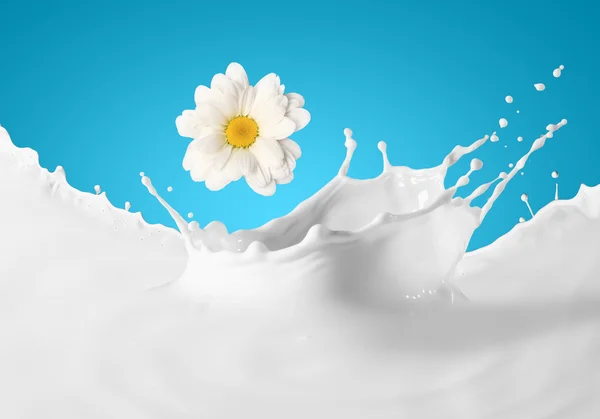 Image of milk splashes — Stock Photo, Image