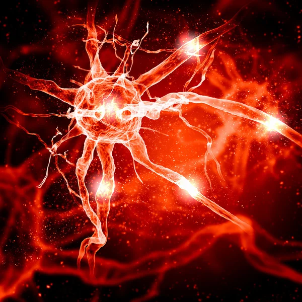 Illustration of a nerve cell — Stock Photo, Image