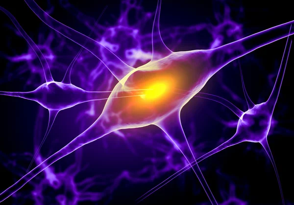 Illustration of a nerve cell — Stock Photo, Image