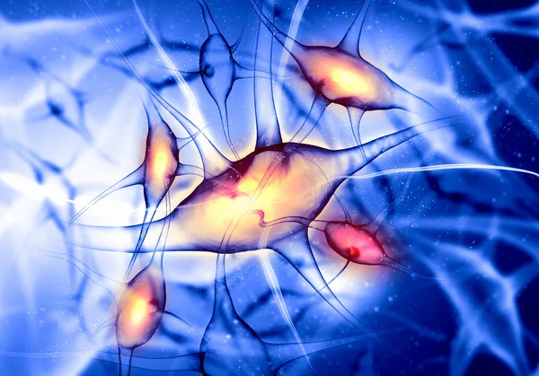 Иллюстрация нервной клетки — стоковое фото