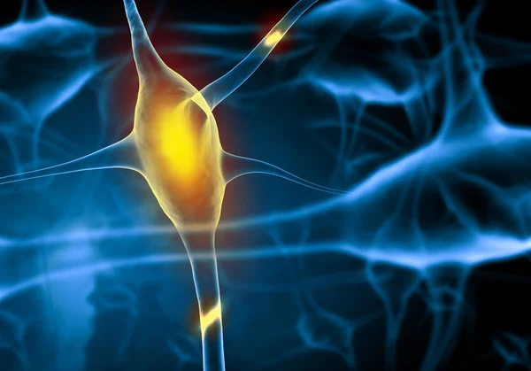 Illustration of a nerve cell — Stock Photo, Image