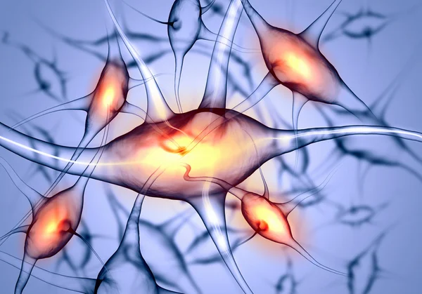 Illustration of a nerve cell — Stock Photo, Image