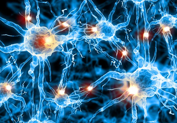 Illustration of a nerve cell — Stock Photo, Image