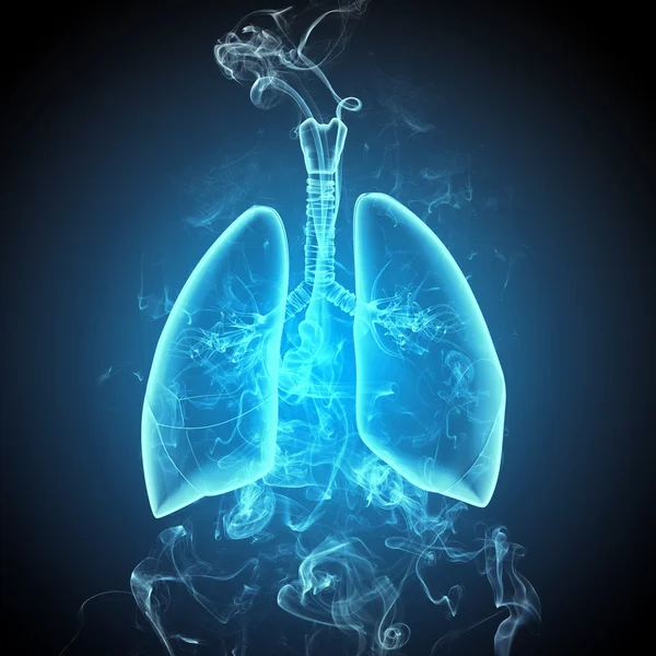 Schematic illustration of human lungs — Stock Photo, Image