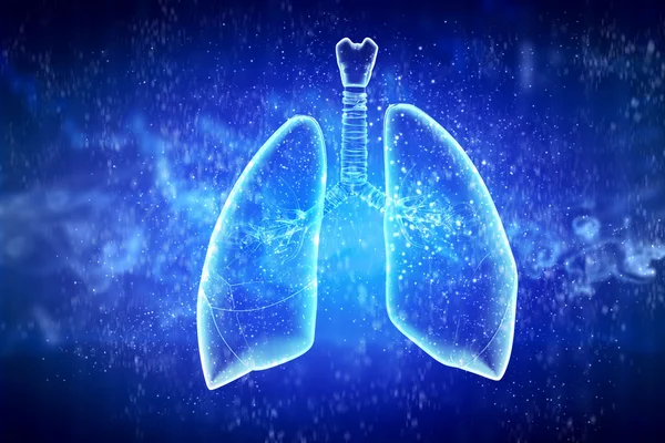 Schematic illustration of human lungs — Stock Photo, Image