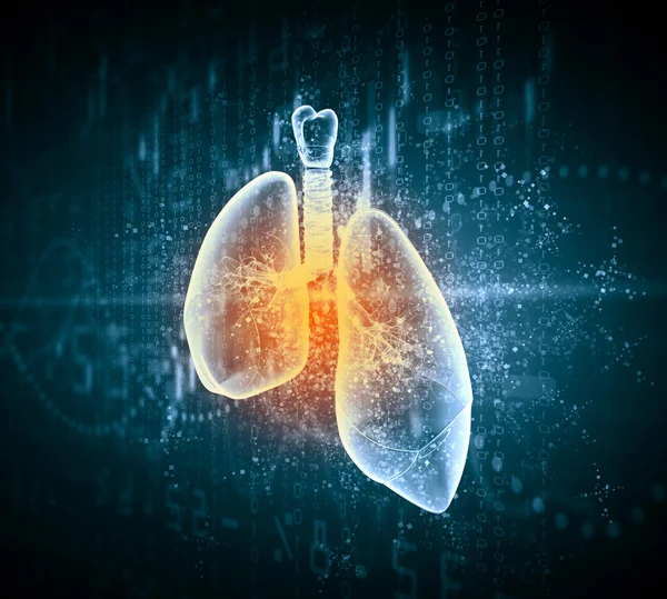 Schematic illustration of human lungs — Stock Photo, Image