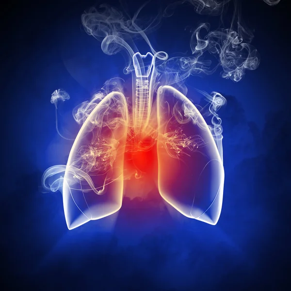Ilustração esquemática dos pulmões humanos — Fotografia de Stock