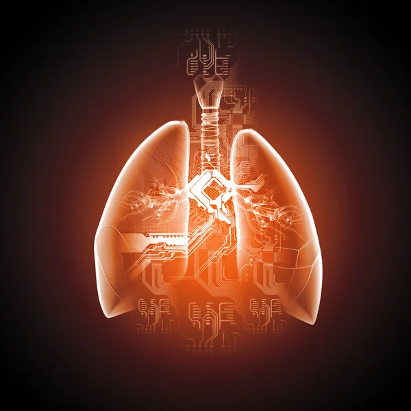 Illustration schématique des poumons humains — Photo