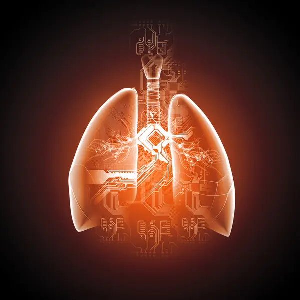 Schematyczna ilustracja ludzki płuc — Zdjęcie stockowe