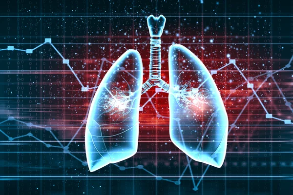 Ilustración esquemática de pulmones humanos —  Fotos de Stock