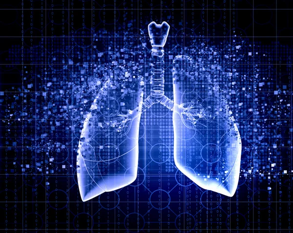 Ilustración esquemática de pulmones humanos —  Fotos de Stock