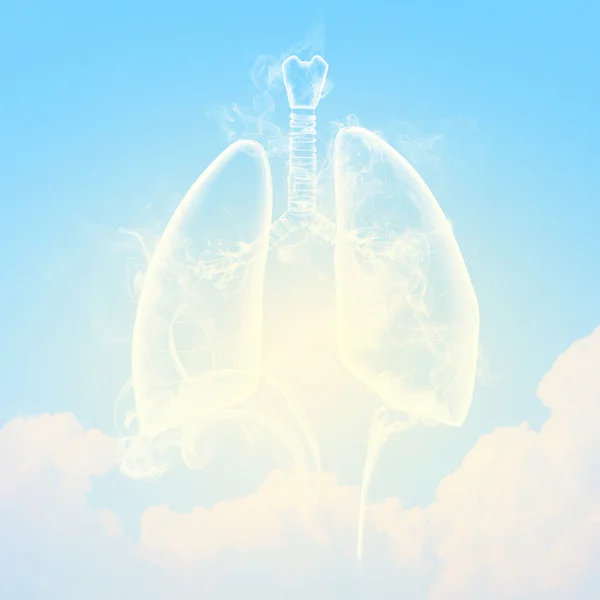 Schematic illustration of human lungs — Stock Photo, Image