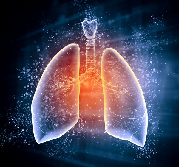 Ilustração esquemática dos pulmões humanos — Fotografia de Stock