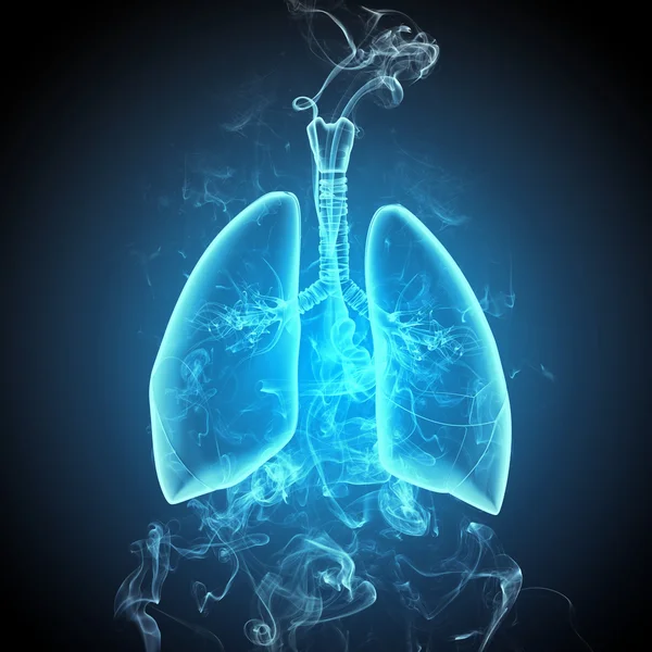 Schematic illustration of human lungs — Stock Photo, Image