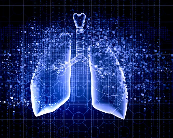 Ilustración esquemática de pulmones humanos —  Fotos de Stock