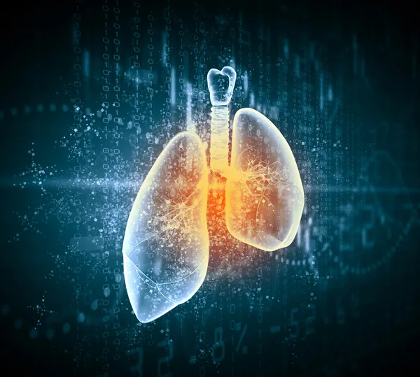 Schematic illustration of human lungs — Stock Photo, Image