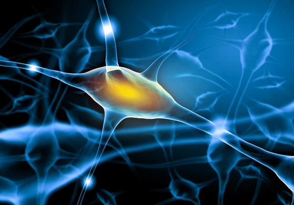 Illustration of a nerve cell Stock Photo