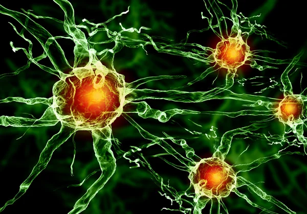 Ilustración de una célula nerviosa Imagen de archivo