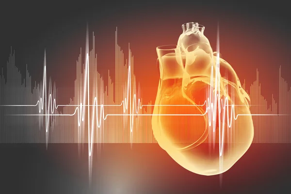 Human heart beats — Stock Photo, Image