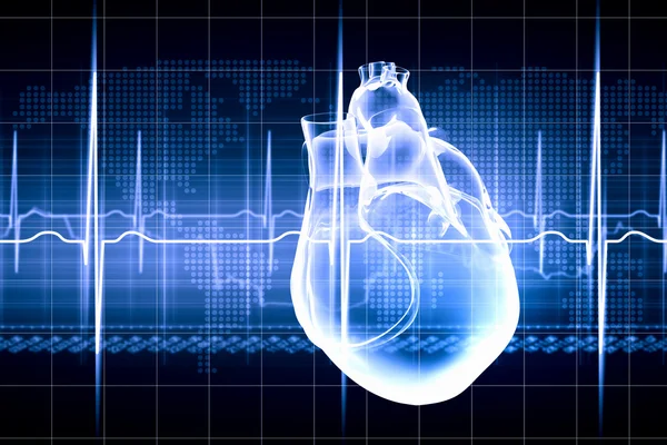 Human heart beats — Stock Photo, Image