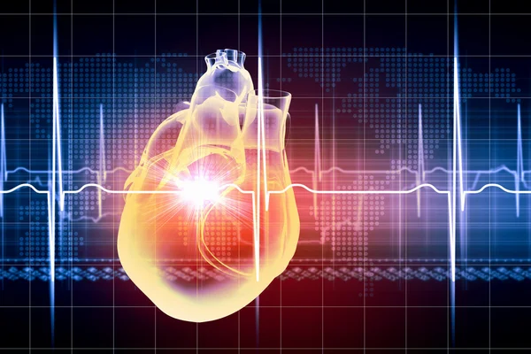 Human heart beats — Stock Photo, Image