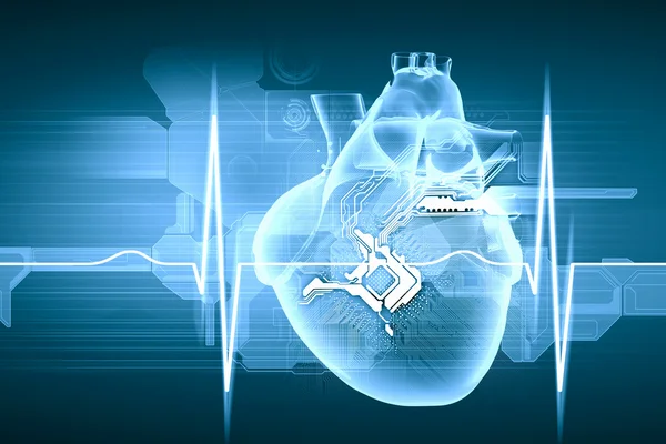 인간의 심장 박동 — 스톡 사진